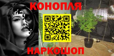 шишки Бузулук