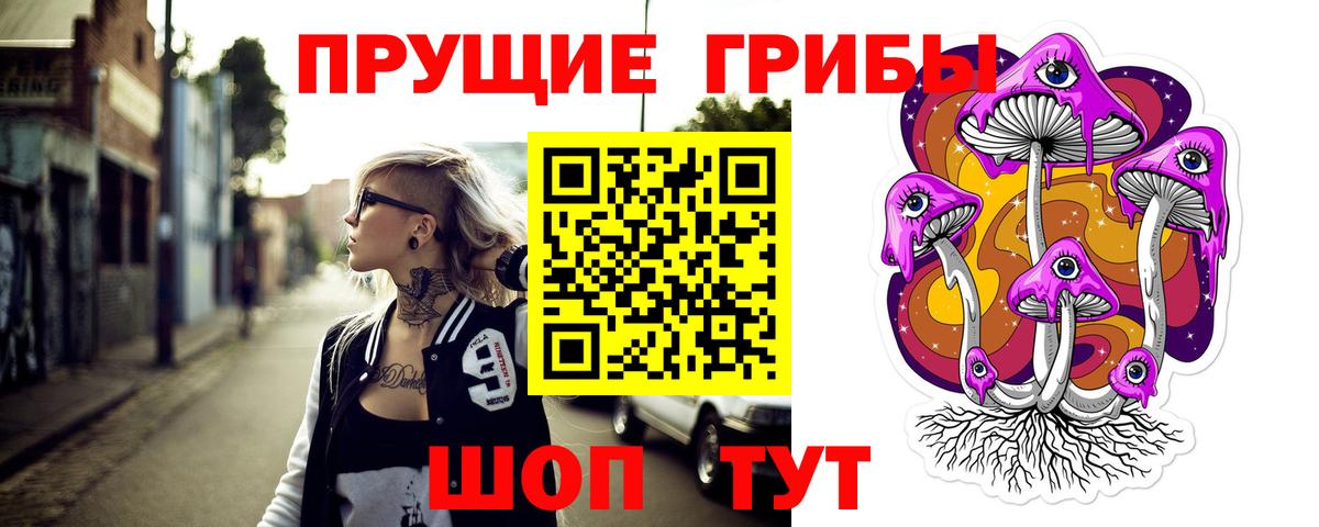 Галлюциногенные грибы прущие грибы Чернушка