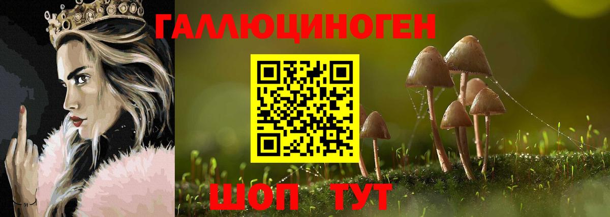 Чернушка  Галлюциногенные грибы Psilocybe  Вход с VPN 